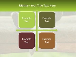 A Cat That Is Laying Down On A Bench PowerPoint Template