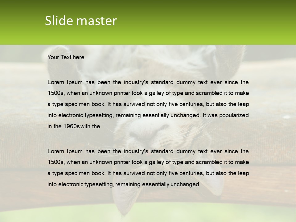 A Cat That Is Laying Down On A Bench PowerPoint Template