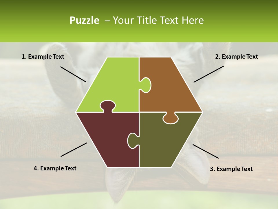 A Cat That Is Laying Down On A Bench PowerPoint Template