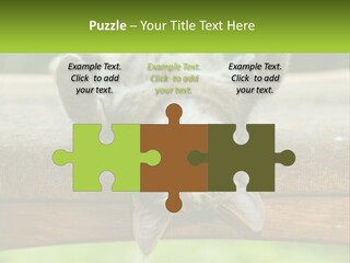 A Cat That Is Laying Down On A Bench PowerPoint Template