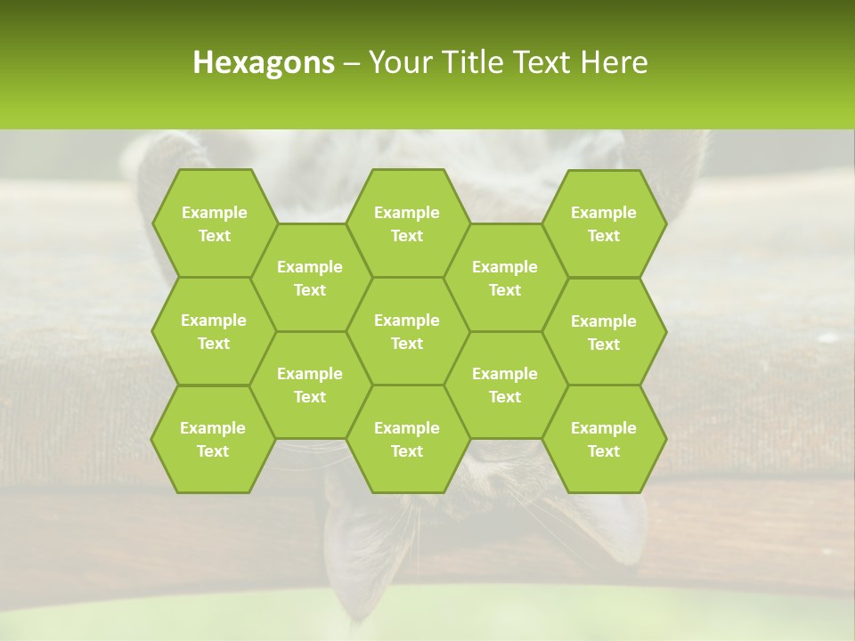 A Cat That Is Laying Down On A Bench PowerPoint Template