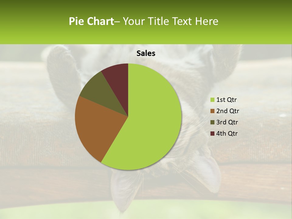 A Cat That Is Laying Down On A Bench PowerPoint Template