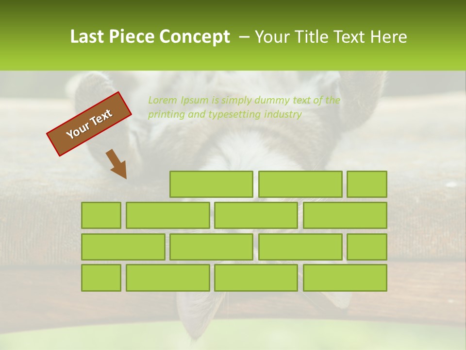 A Cat That Is Laying Down On A Bench PowerPoint Template