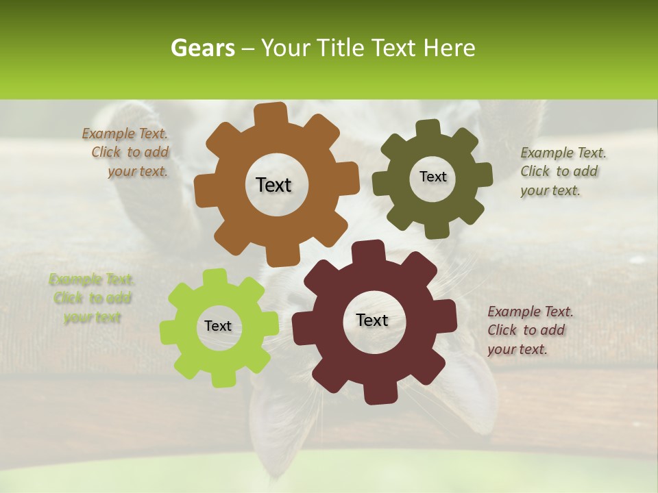 A Cat That Is Laying Down On A Bench PowerPoint Template