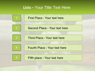 A Cat That Is Laying Down On A Bench PowerPoint Template