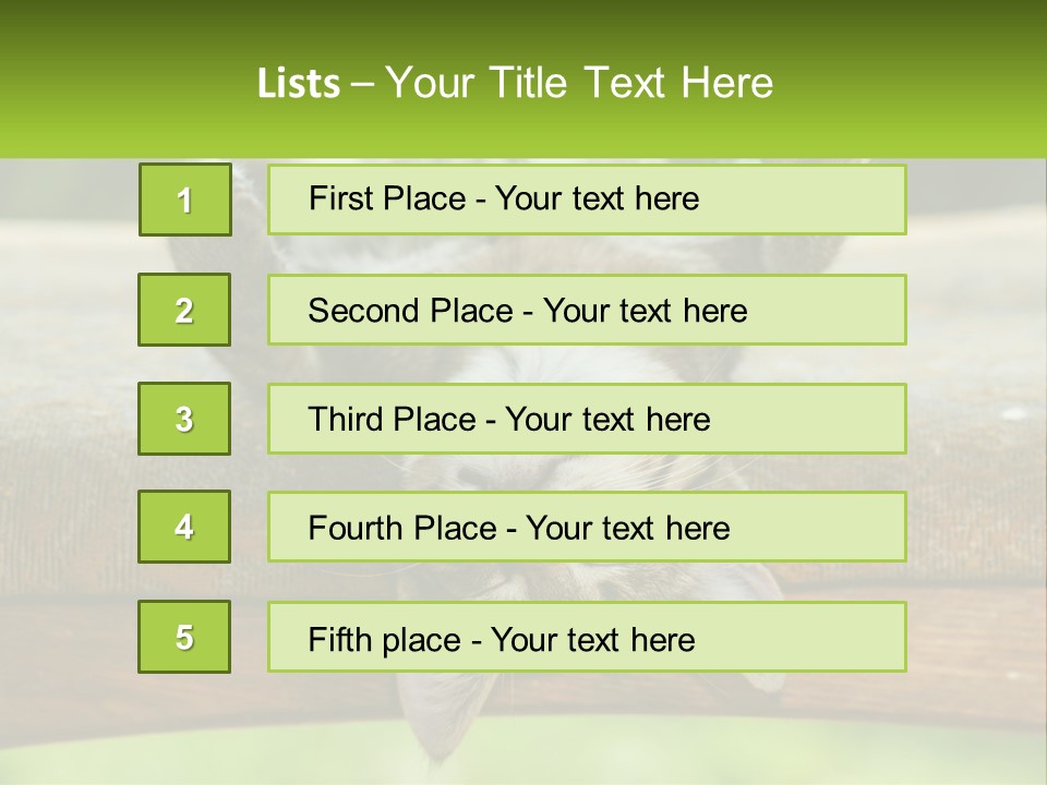 A Cat That Is Laying Down On A Bench PowerPoint Template