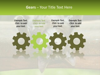 A Cat That Is Laying Down On A Bench PowerPoint Template