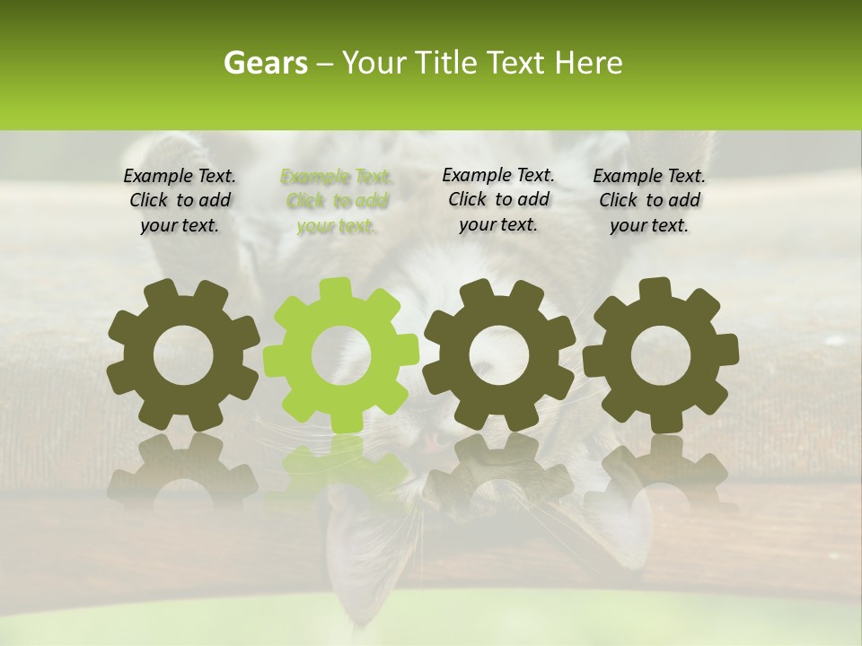 A Cat That Is Laying Down On A Bench PowerPoint Template