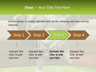 A Cat That Is Laying Down On A Bench PowerPoint Template