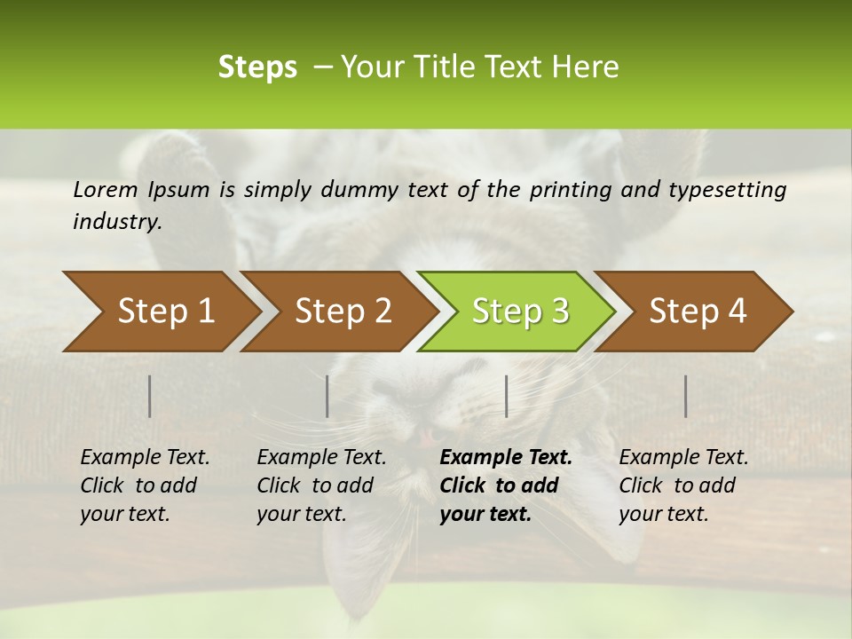 A Cat That Is Laying Down On A Bench PowerPoint Template