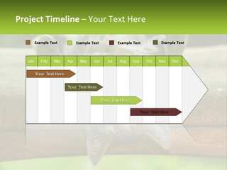 A Cat That Is Laying Down On A Bench PowerPoint Template