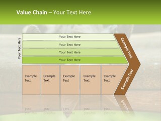A Cat That Is Laying Down On A Bench PowerPoint Template