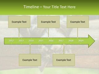 A Cat That Is Laying Down On A Bench PowerPoint Template