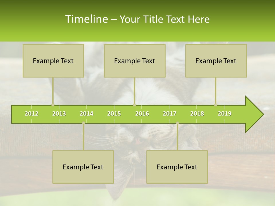 A Cat That Is Laying Down On A Bench PowerPoint Template