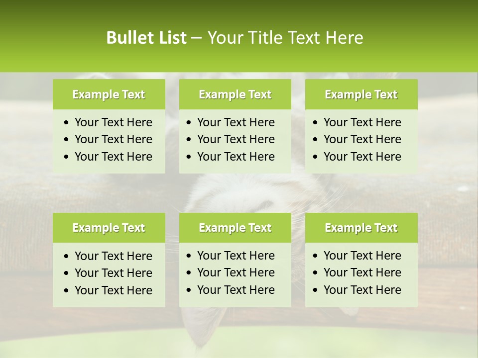 A Cat That Is Laying Down On A Bench PowerPoint Template