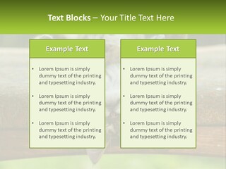A Cat That Is Laying Down On A Bench PowerPoint Template