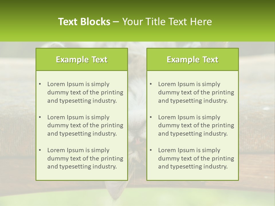 A Cat That Is Laying Down On A Bench PowerPoint Template
