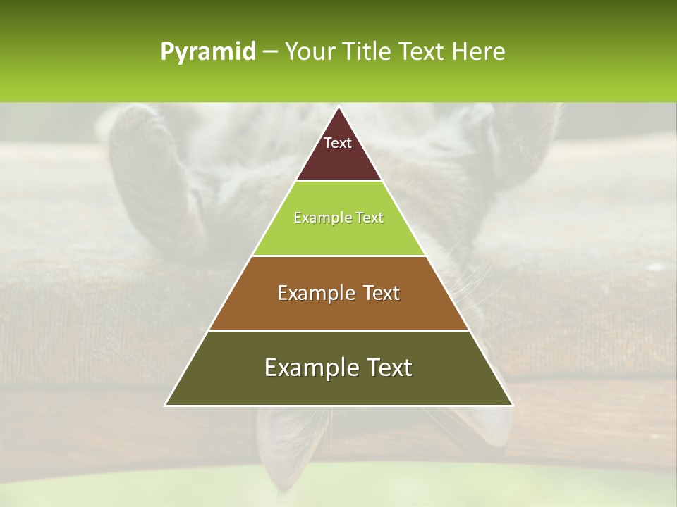 A Cat That Is Laying Down On A Bench PowerPoint Template