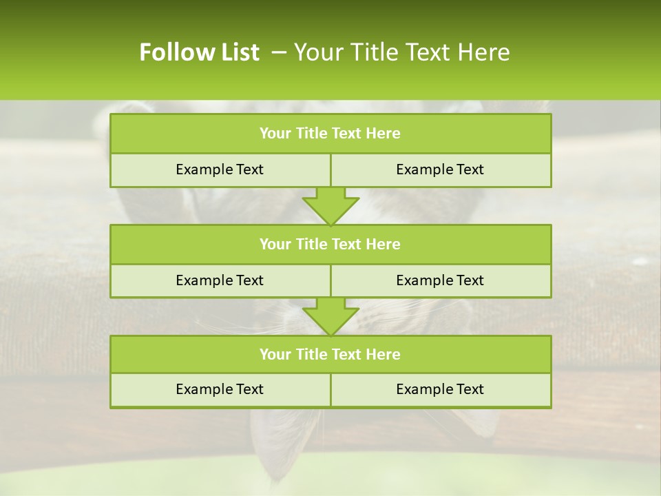 A Cat That Is Laying Down On A Bench PowerPoint Template