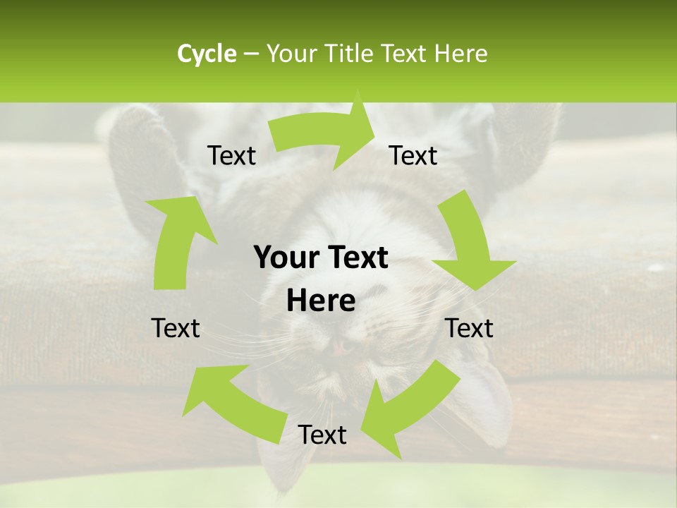 A Cat That Is Laying Down On A Bench PowerPoint Template