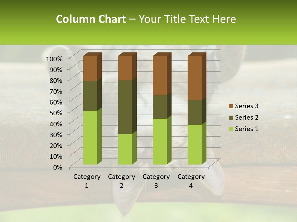 A Cat That Is Laying Down On A Bench PowerPoint Template