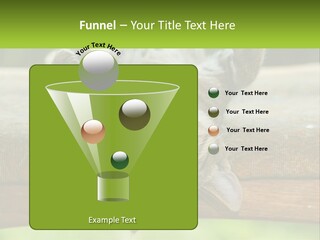 A Cat That Is Laying Down On A Bench PowerPoint Template