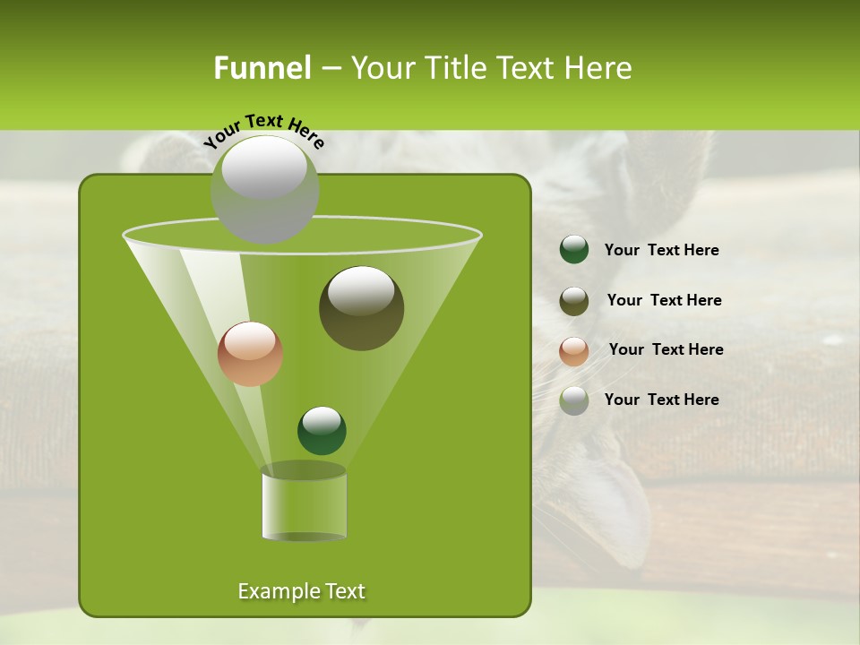 A Cat That Is Laying Down On A Bench PowerPoint Template