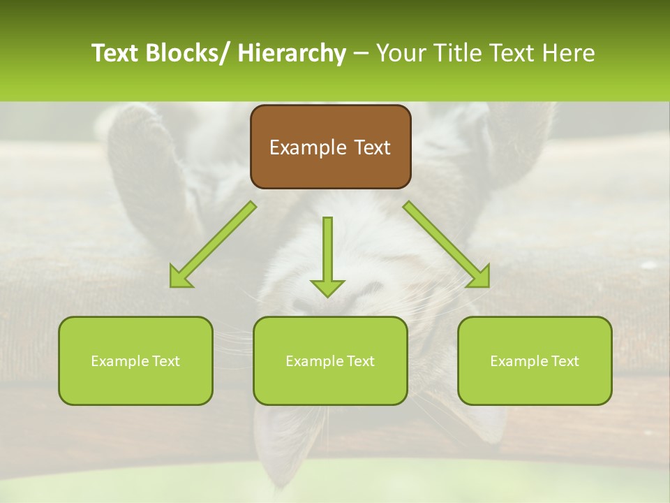 A Cat That Is Laying Down On A Bench PowerPoint Template