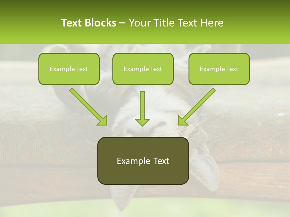 A Cat That Is Laying Down On A Bench PowerPoint Template