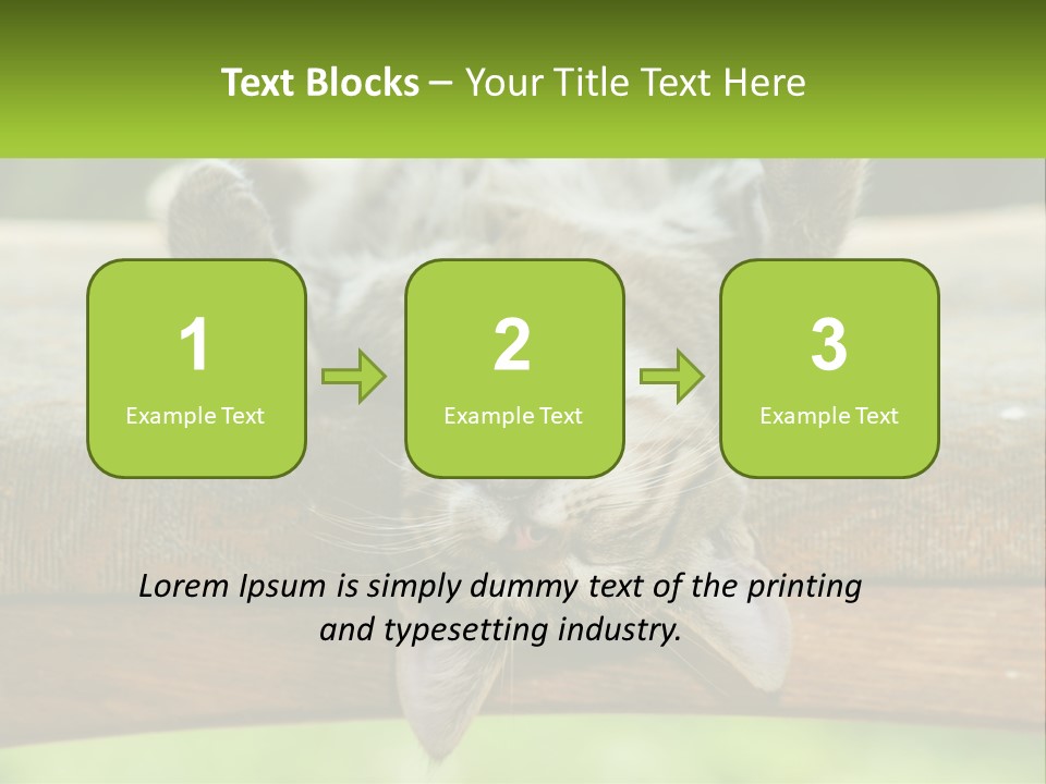 A Cat That Is Laying Down On A Bench PowerPoint Template