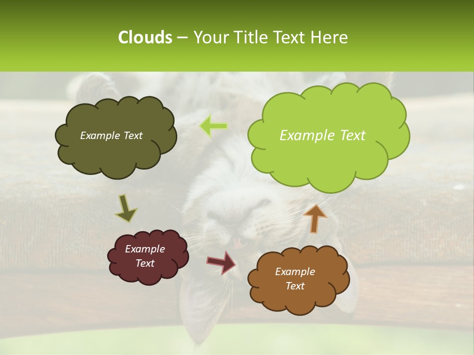 A Cat That Is Laying Down On A Bench PowerPoint Template