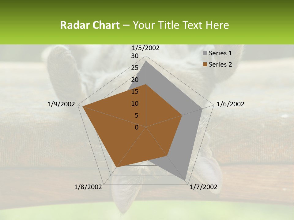 A Cat That Is Laying Down On A Bench PowerPoint Template