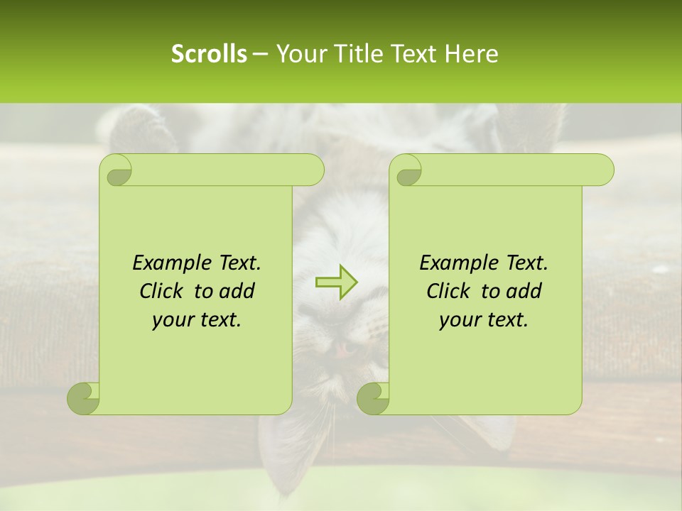 A Cat That Is Laying Down On A Bench PowerPoint Template