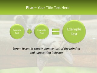 A Cat That Is Laying Down On A Bench PowerPoint Template