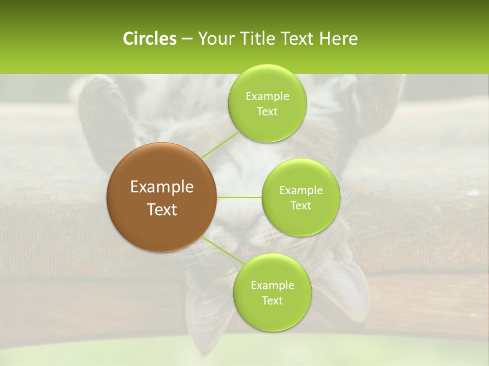 A Cat That Is Laying Down On A Bench PowerPoint Template