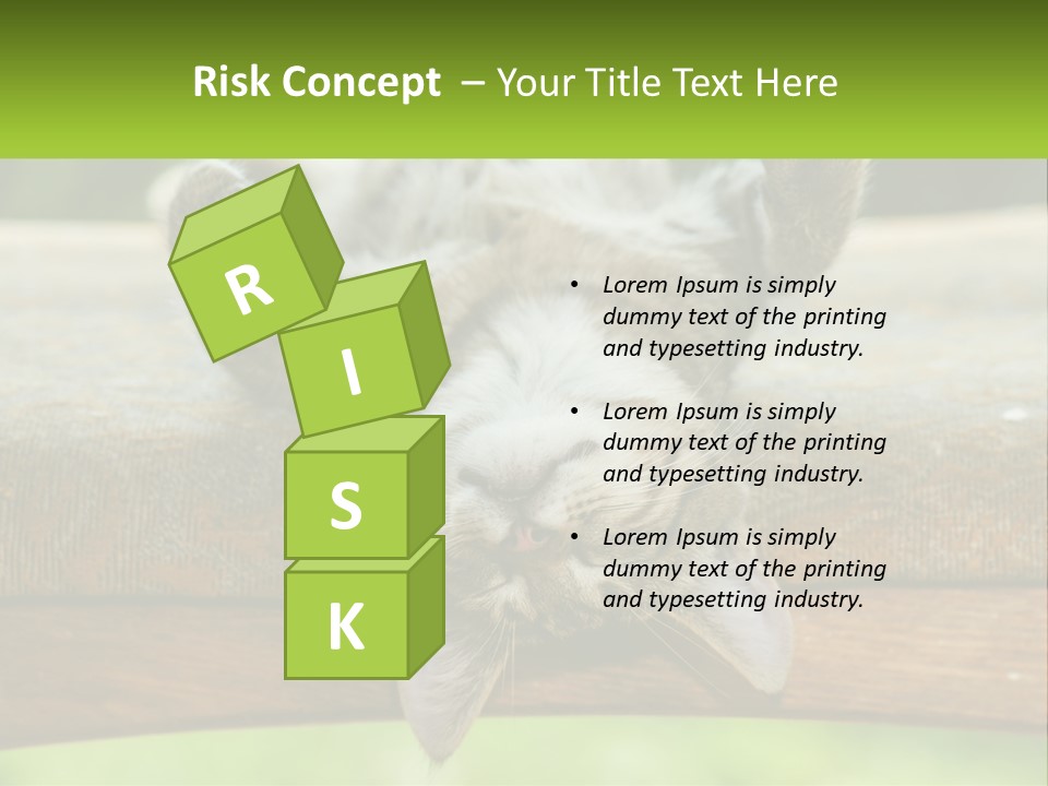 A Cat That Is Laying Down On A Bench PowerPoint Template