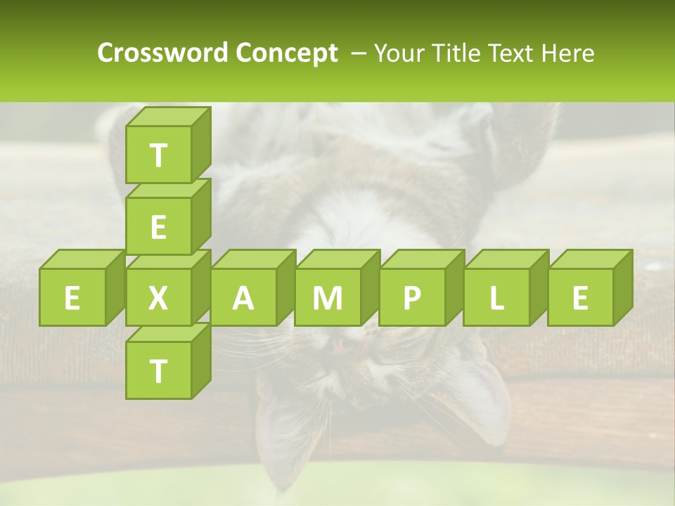 A Cat That Is Laying Down On A Bench PowerPoint Template