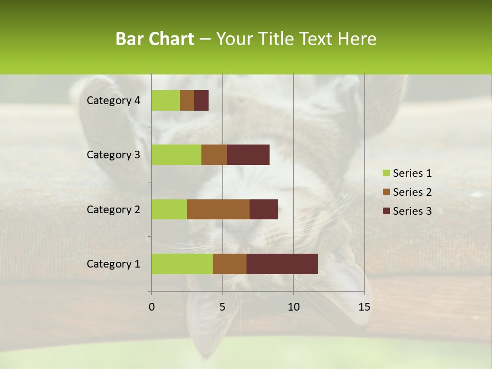 A Cat That Is Laying Down On A Bench PowerPoint Template