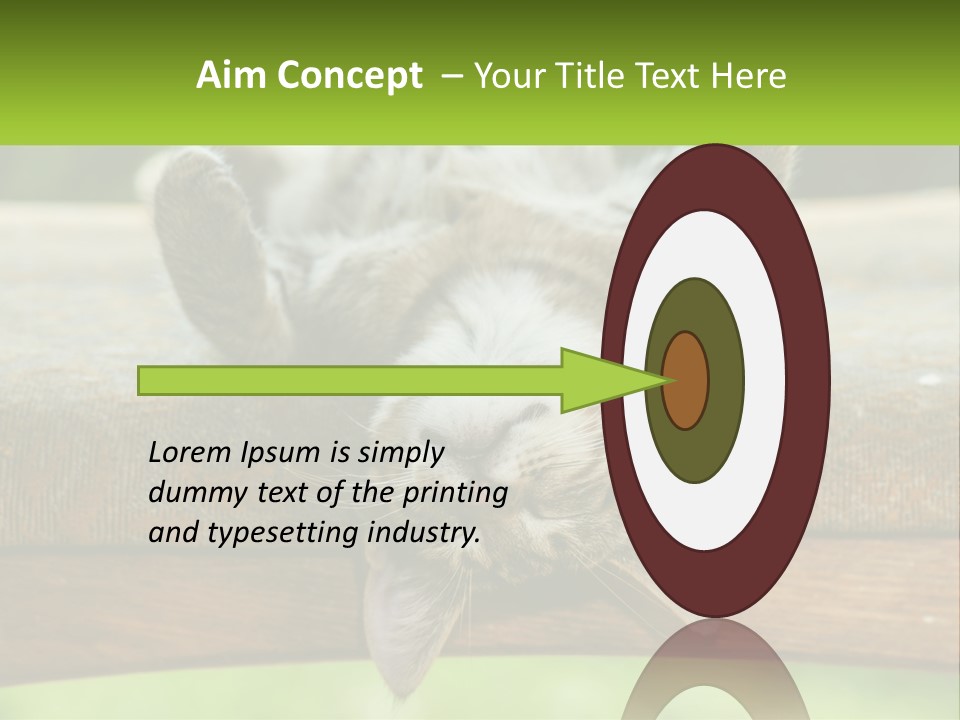 A Cat That Is Laying Down On A Bench PowerPoint Template