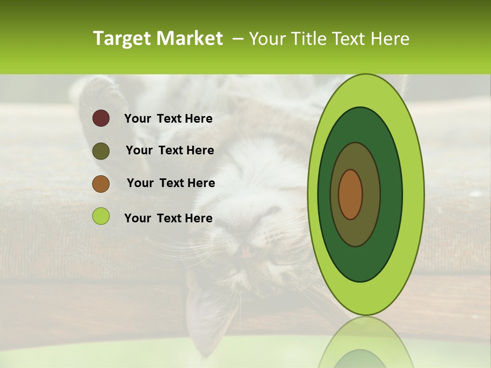 A Cat That Is Laying Down On A Bench PowerPoint Template