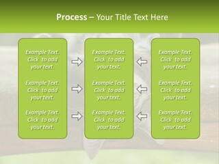 A Cat That Is Laying Down On A Bench PowerPoint Template