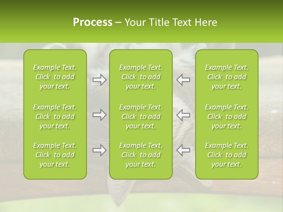 A Cat That Is Laying Down On A Bench PowerPoint Template
