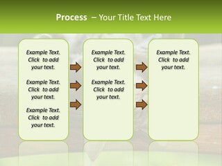 A Cat That Is Laying Down On A Bench PowerPoint Template
