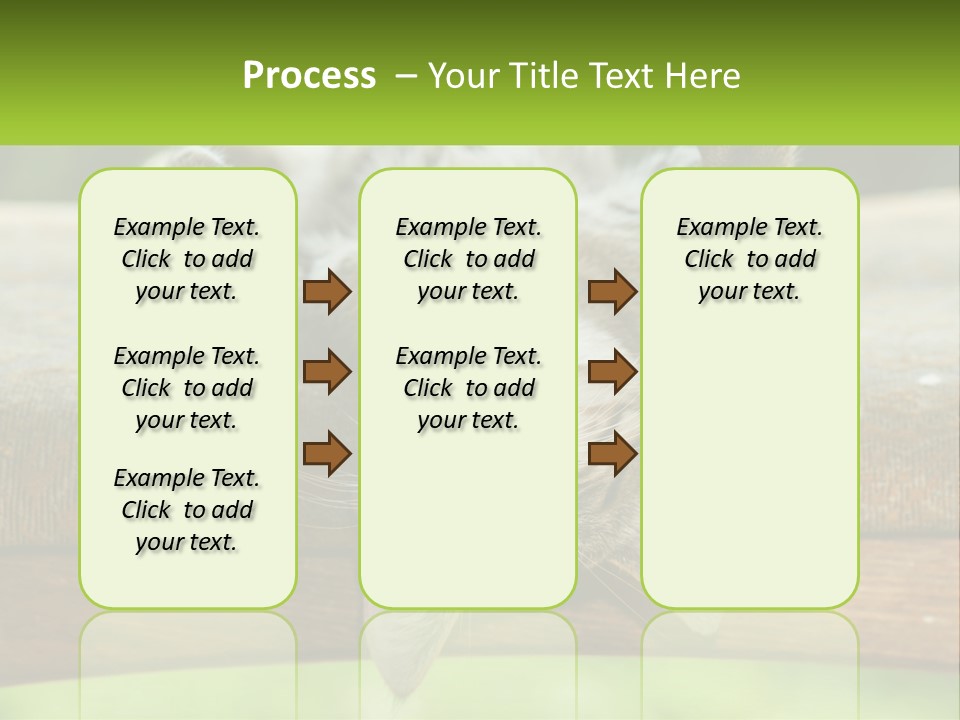 A Cat That Is Laying Down On A Bench PowerPoint Template