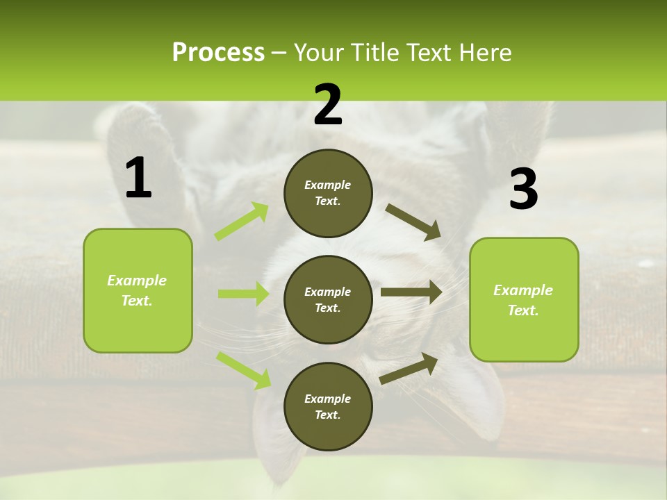 A Cat That Is Laying Down On A Bench PowerPoint Template