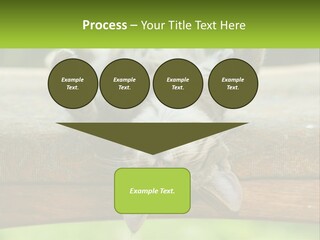 A Cat That Is Laying Down On A Bench PowerPoint Template