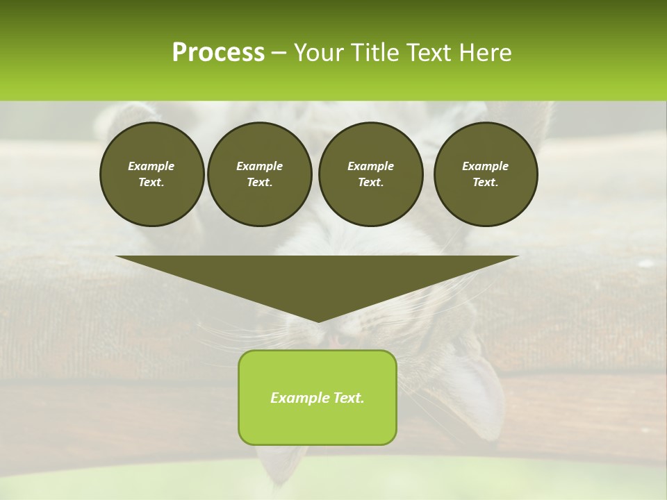 A Cat That Is Laying Down On A Bench PowerPoint Template