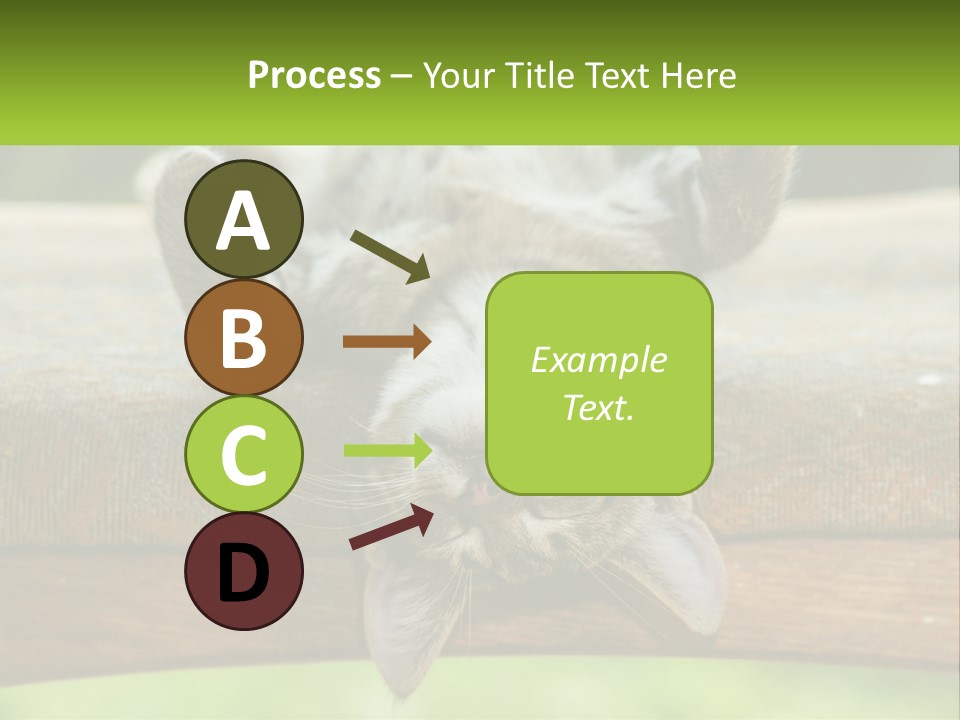 A Cat That Is Laying Down On A Bench PowerPoint Template