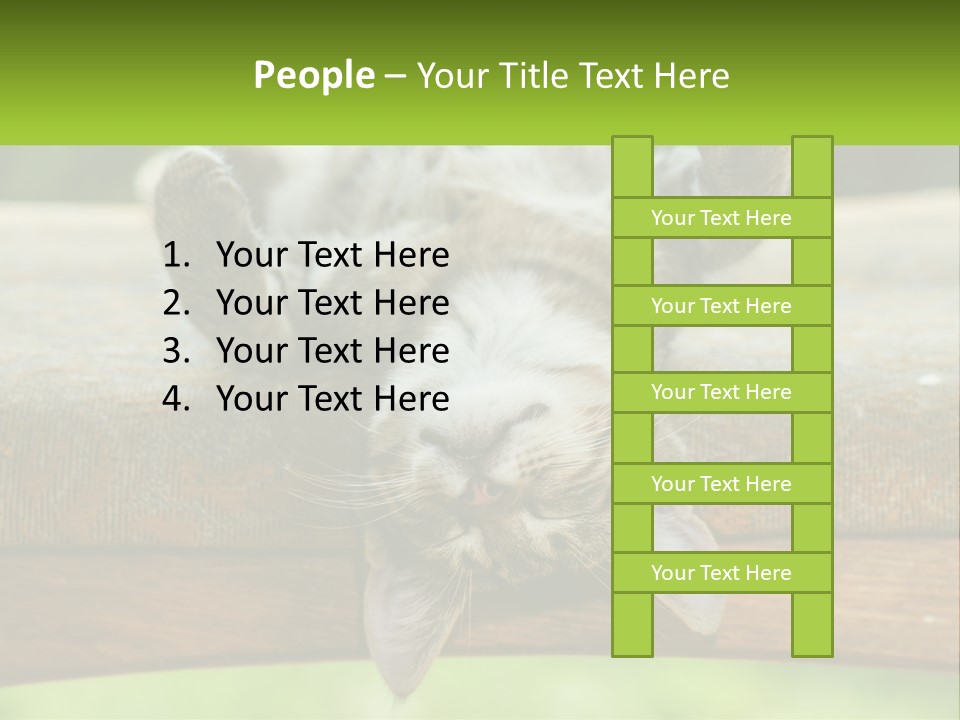 A Cat That Is Laying Down On A Bench PowerPoint Template