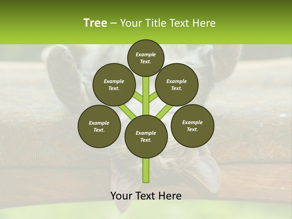 A Cat That Is Laying Down On A Bench PowerPoint Template